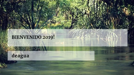 Bienvenido 2019!